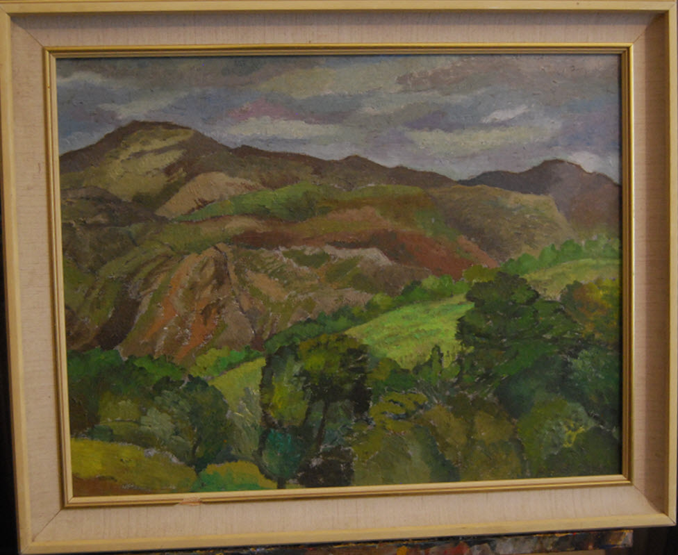 Landscape in Gwynedd